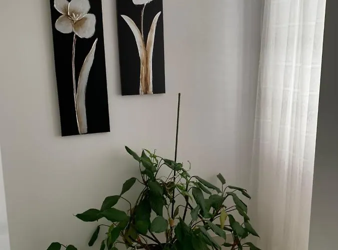 Pahljina Apartament *