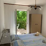 Pahljina Palit