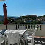 Pahljina * Palit