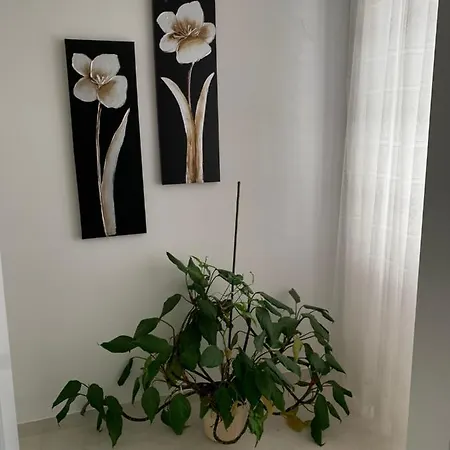 Pahljina Apartament *