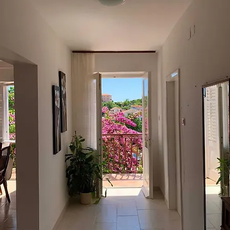 Pahljina Apartament Palit