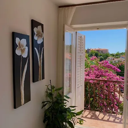 Apartament Pahljina