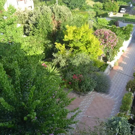 Pahljina Apartamento Palit